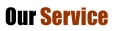 Our Service